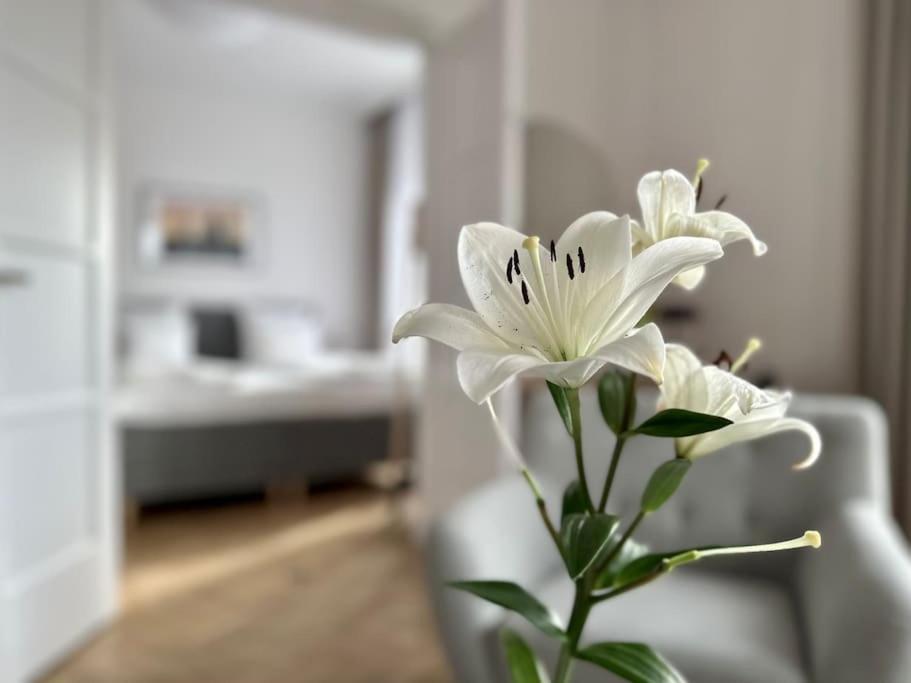 Premium Apartment By Hi - Central 2 Bedroom - Best View Budapeszt Zewnętrze zdjęcie